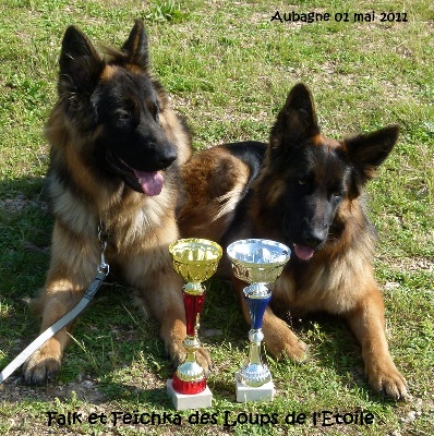 des Loups de L'etoile - Expo de Aubagne