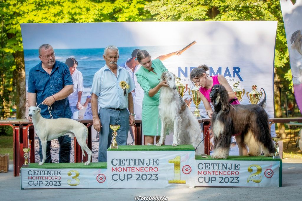 du Troisième Jour - Nouvelle Championne de Monténégro