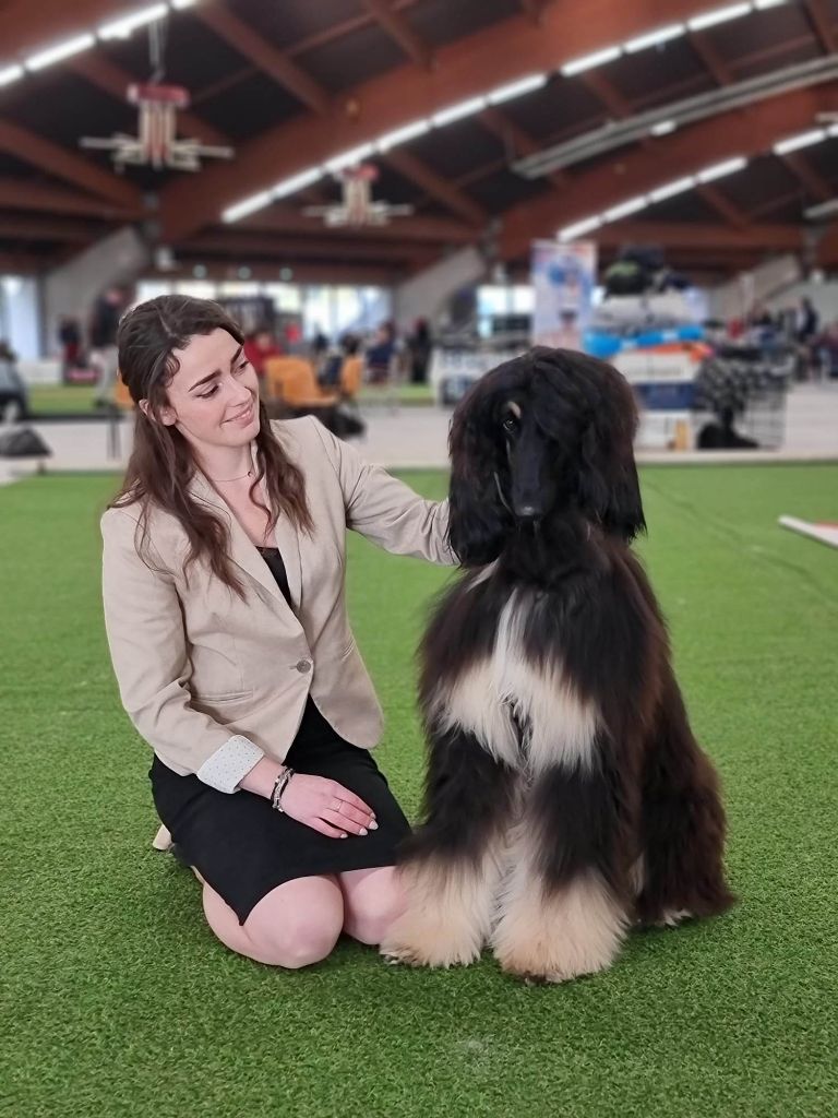 du Troisième Jour - Qualification CRUFTS 2024