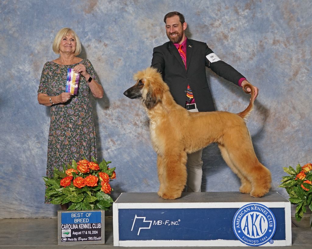 du Troisième Jour - Best of Breed aux USA