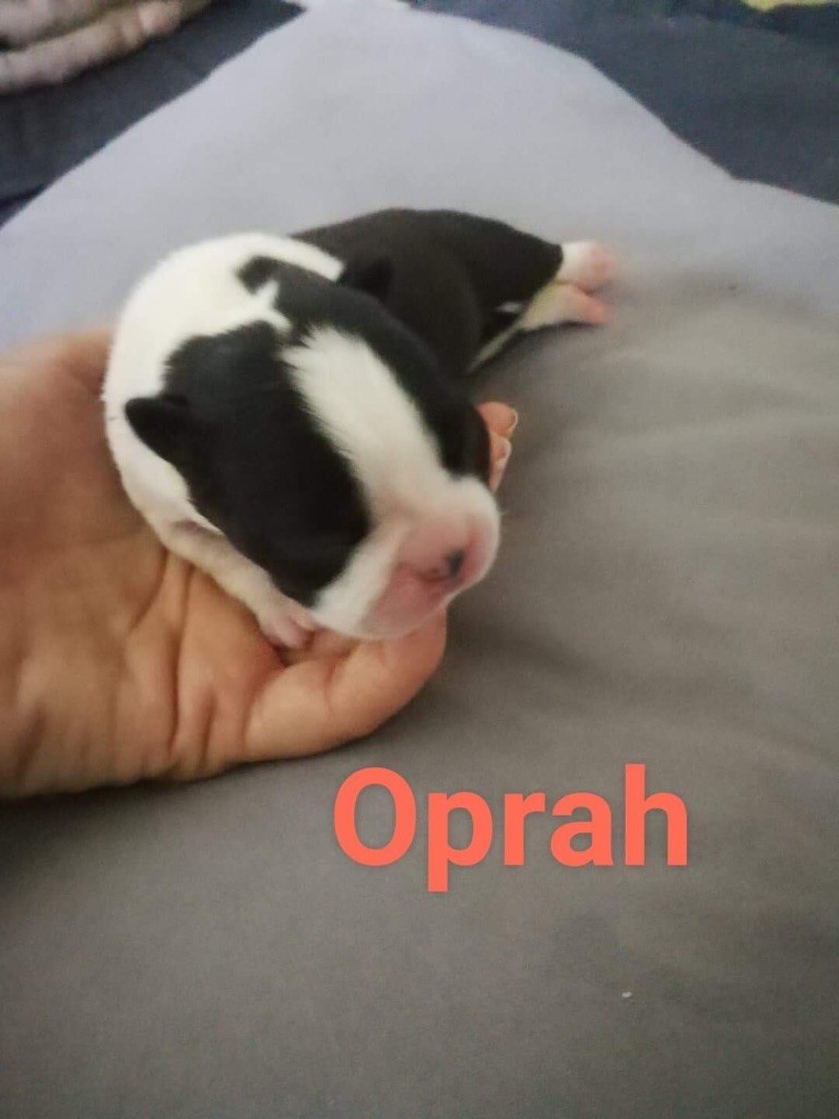 Oprah