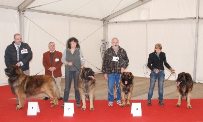 de la Petite Saunerie - Photo de BAROUDEUR à la SPE de BOURGES