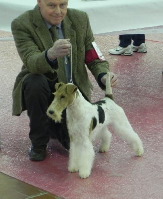 Expo Internationale d'ANGERS  31 mars 2013