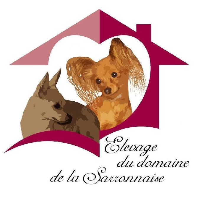 Du Domaine De La Sarronnaise - Voici mon LOGO 