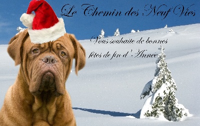 Du Chemin Des Neuf Vies - Joyeuses fêtes