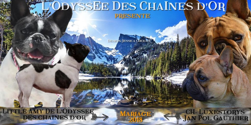 de l'odyssée des Chaines d'or - Bientôt des bébés 