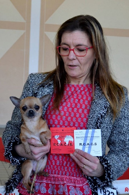 des Amys de Appy - ANGERS Spéciale 27/03/16 JOBBY RCACIB-RCACS