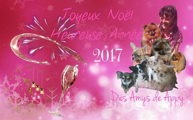 des Amys de Appy - DES AMYS DE APPY vous souhaite d'excellentes fêtes de fin d'année