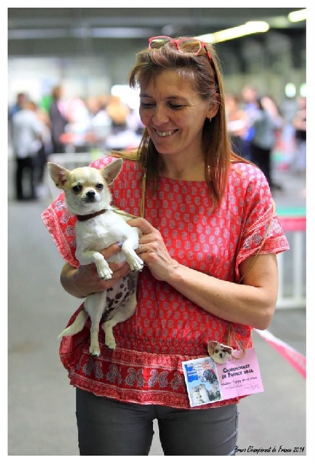 des Amys de Appy - Romy Meilleur Puppy Championnat de France 2014