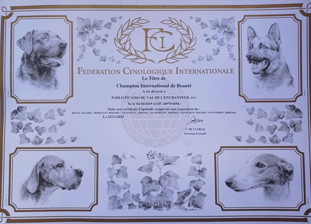 du Val de L'enchanteur - Pablo Champion International