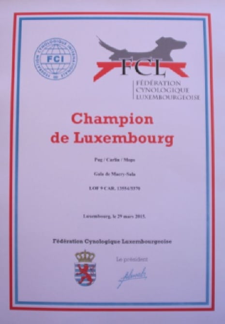 du Val de L'enchanteur - Gala championne du Luxembourg