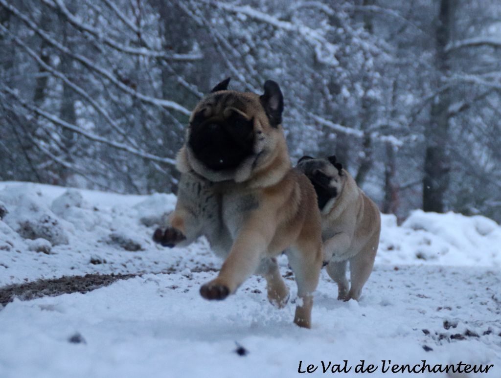 du Val de L'enchanteur - Pablo dans la neige