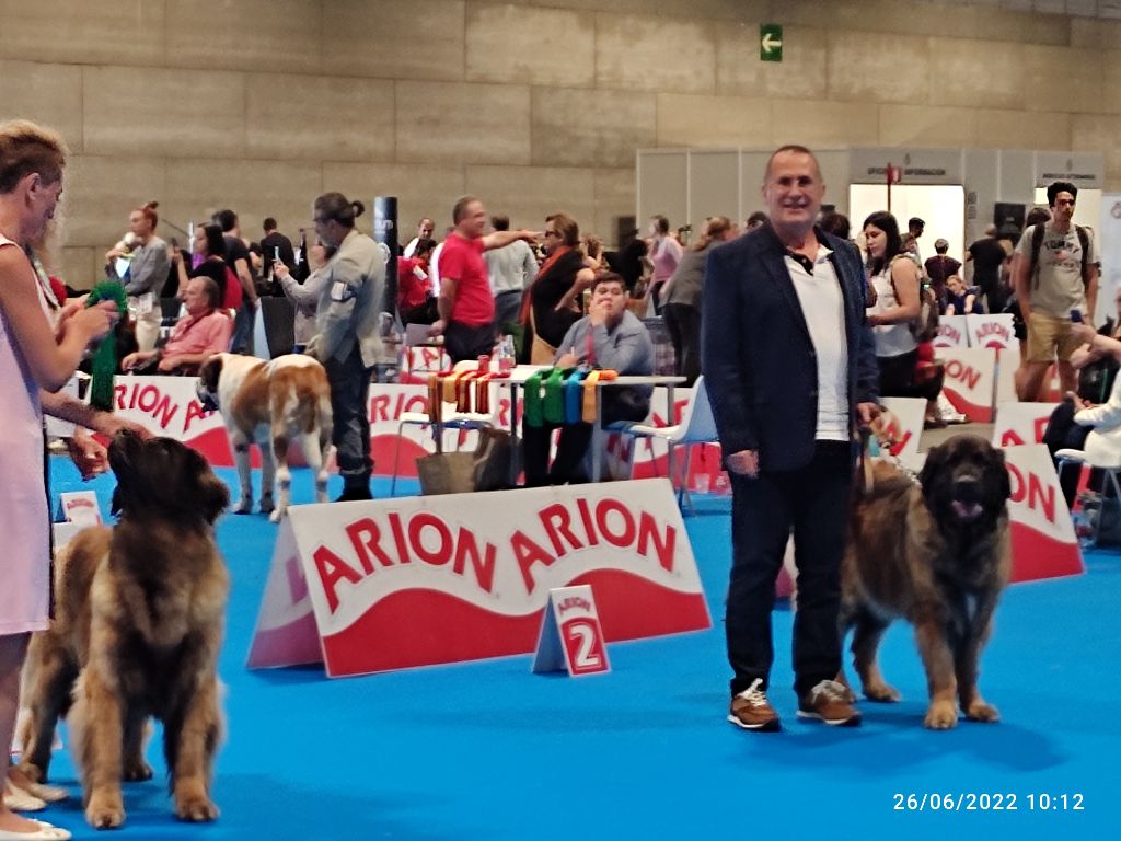 du Rocher De Montéclin - Nouchka vice-championne du monde à Madrid