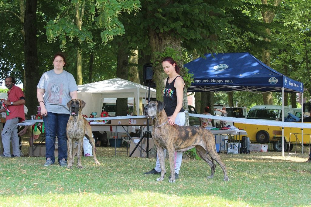 De la vallee de cande - Arvillers 2018