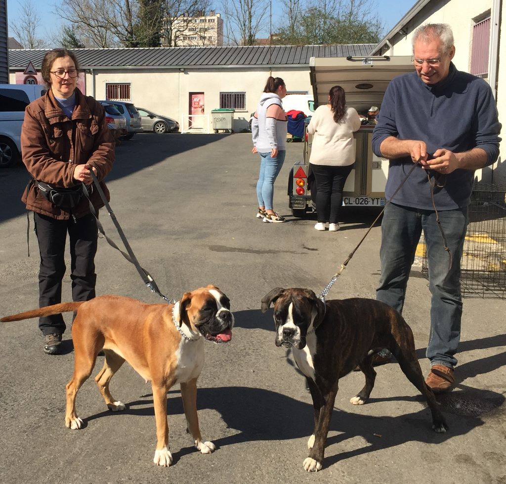 23/2/2020 - Toulouse CACS CACIB Juge : Mr Joao POCAS