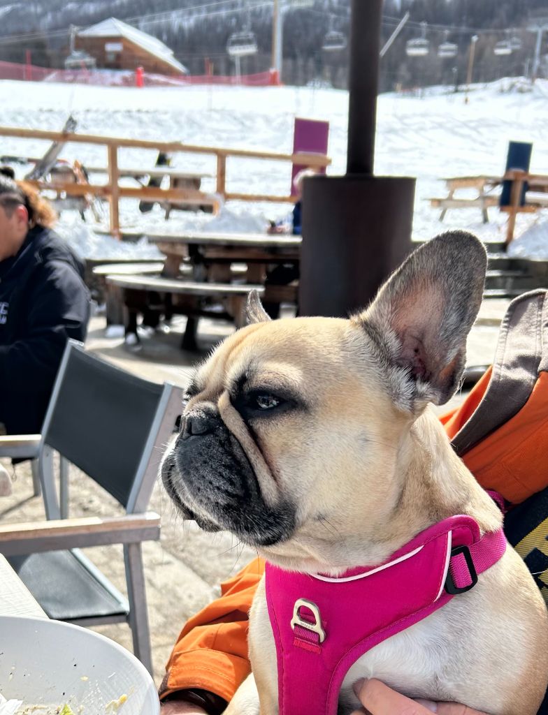 Du Clos De Chantegrive - THALY au ski! 