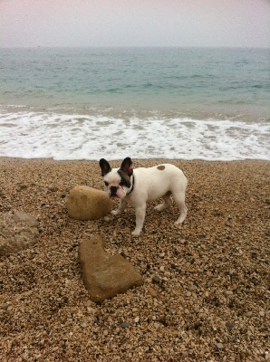 Du Clos De Chantegrive - HARLEY à la plage!