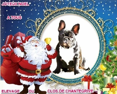 Du Clos De Chantegrive - JOYEUX NOEL!!