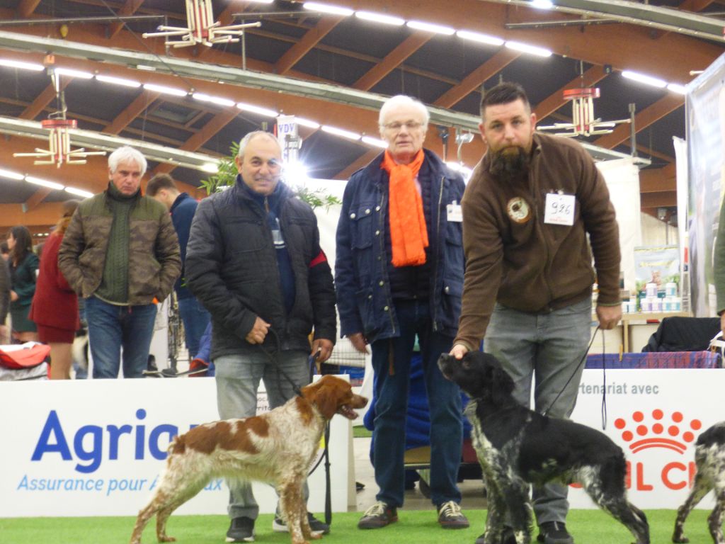 Des Vallees Du Roussillon - EXPOSITION PERPIGNAN 21/01/2023