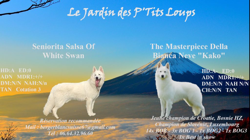 Du Jardin Des P'tits Loups - Mariage 2025