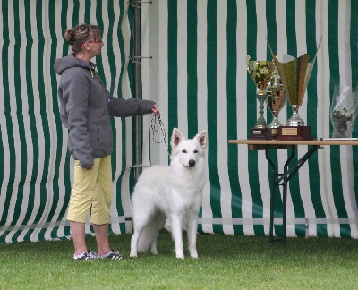 Du Jardin Des P'tits Loups - Nationale d'Elevage