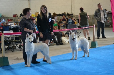 Du Jardin Des P'tits Loups - Championnat de France