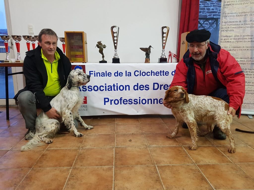 du chène de sophie - Clochette d'or et trophée d'Armorique 2018 pour Jade.