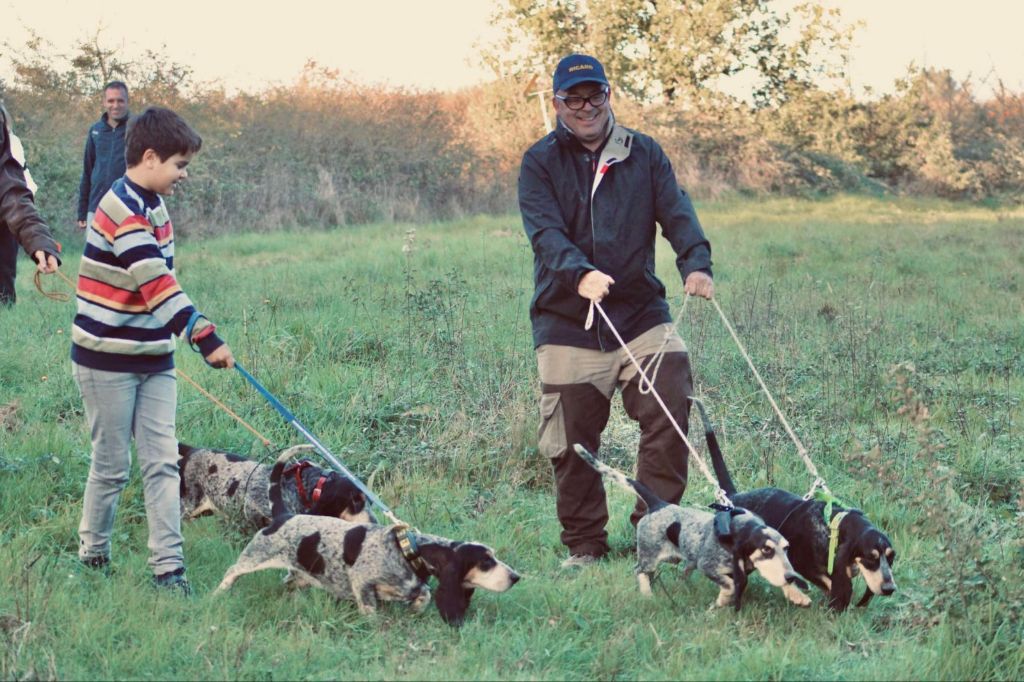 Del Montbarbat - 16/11/24 Brevet sur Lapin a Fonsorbes (31). Club du Beagle & Harloup 