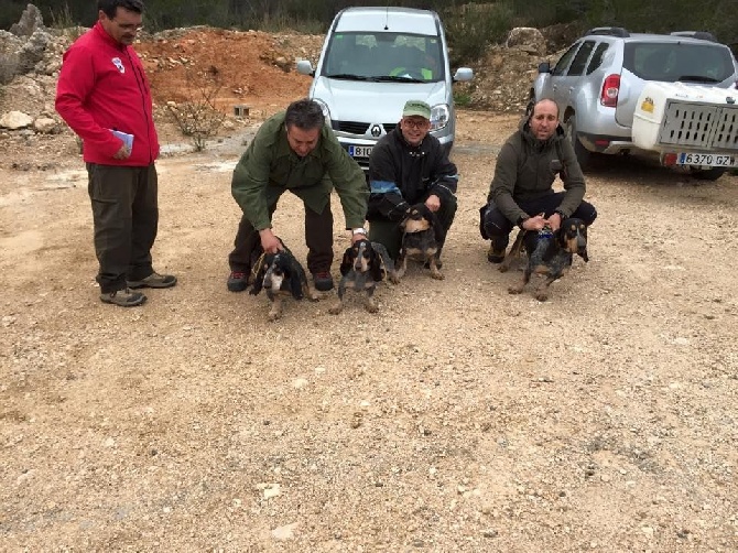 Del Montbarbat - BREVET CONILL L'AMETLLA DE MAR 14/2/15