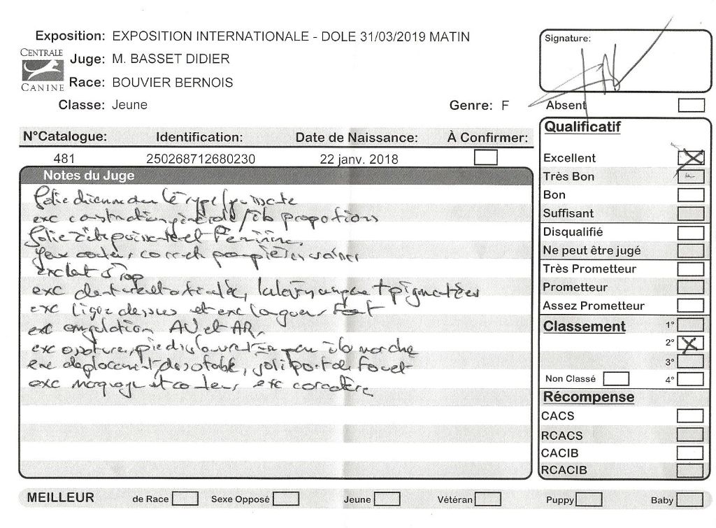 du pays Maîchois - CACIB Dole 31.03.209