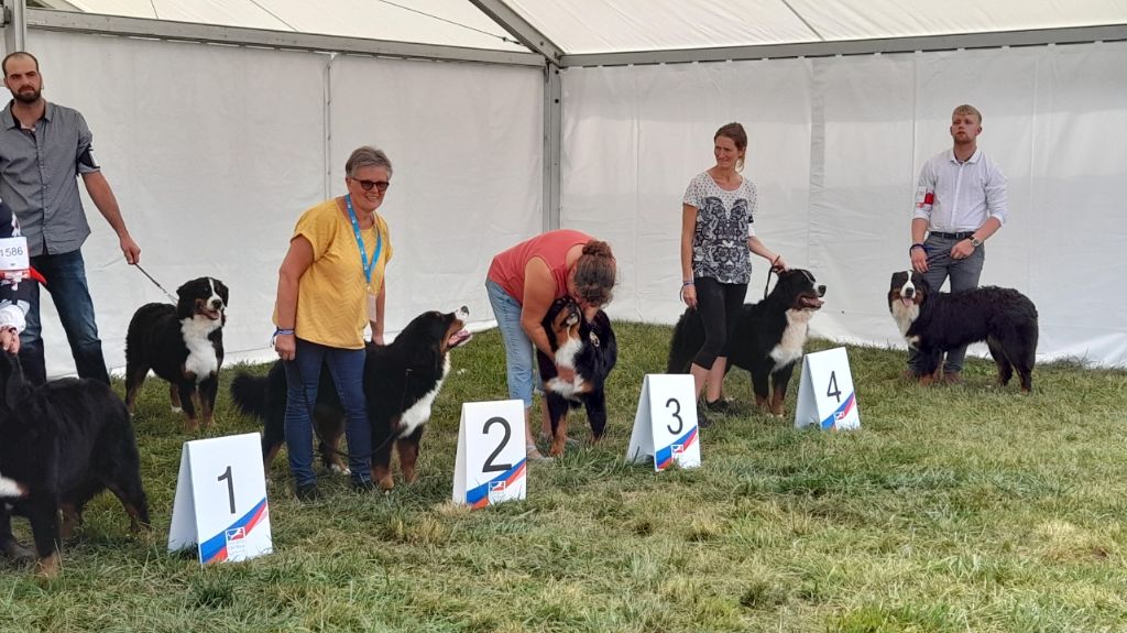 du pays Maîchois - Premières sorties en expo pour Robyne