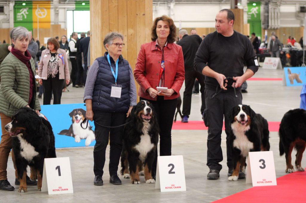 du pays Maîchois - Paris Dog Show 7.01.2023