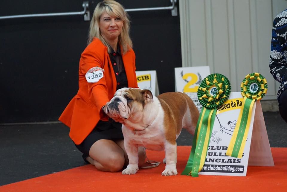 breeder's cup - ROUEN CACS-CACIB 2018