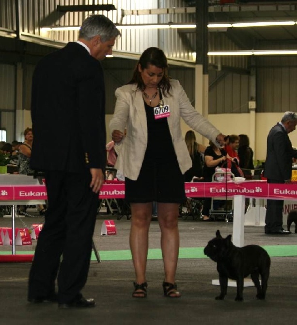 Du murat - Championnat de france à Angers