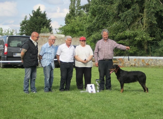 fille de notre Freyr, Jaliska, est Meuilleur chien JB Prey2016