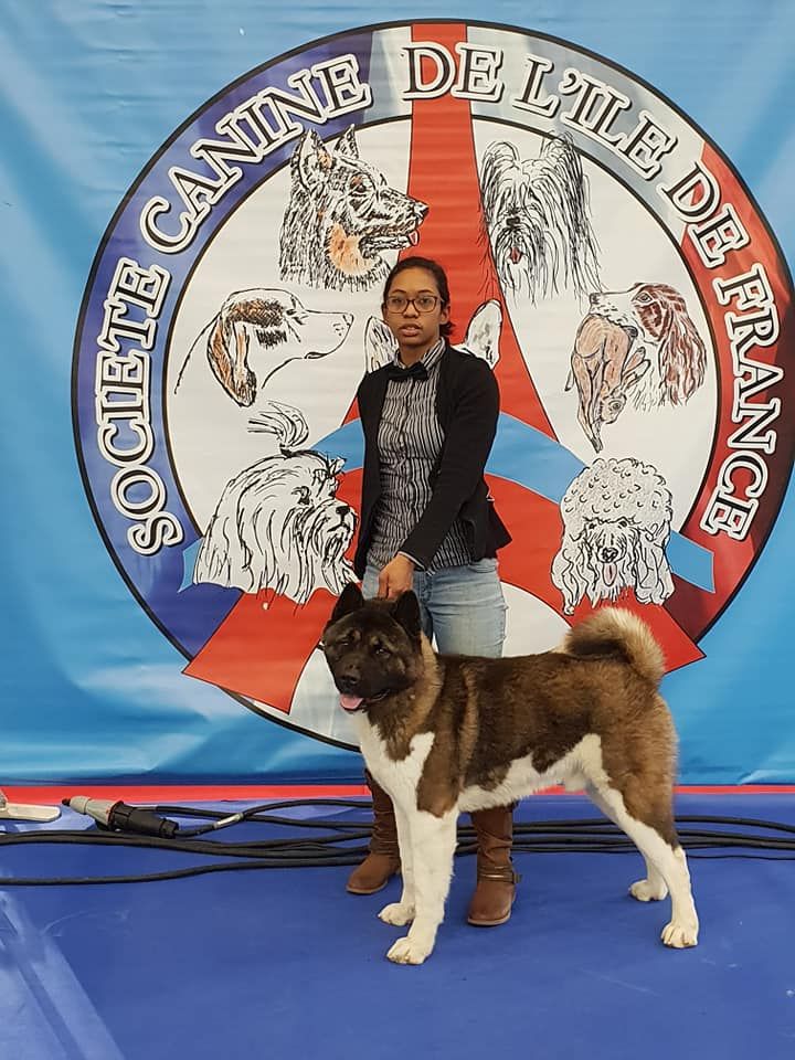 Of Iron Duck - Paris Dog Show 2019