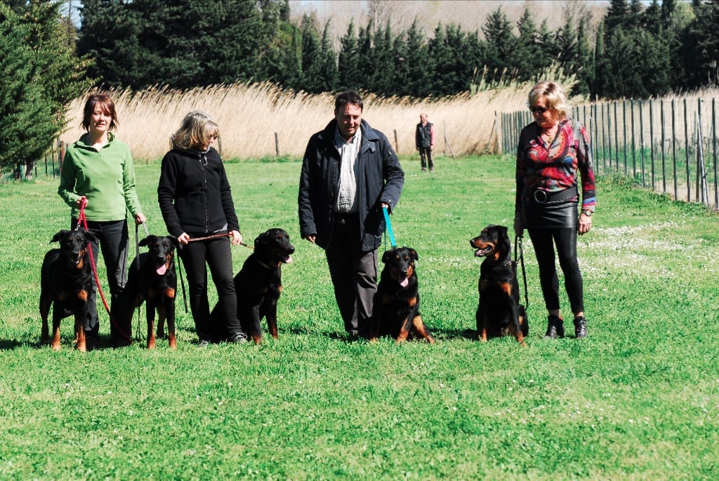 Des Bergers Du Lac - Réunion de famille au club. Mariage C'Taiga et Genesis