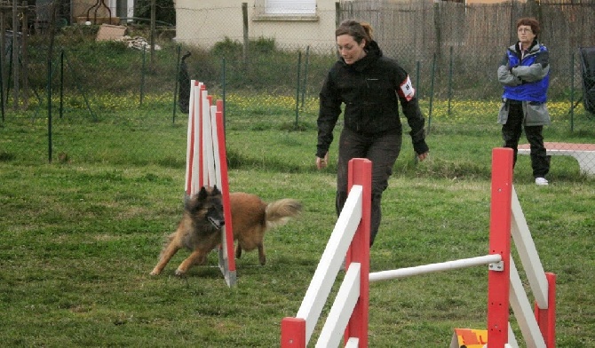 De L'orée Bergère - CONCOURS Agility Béziers