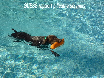 De La Vallee De La Tet - GUESS rapport a l'eau