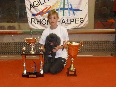 De La Stella Del Pyrame - Championnat et coupe de France