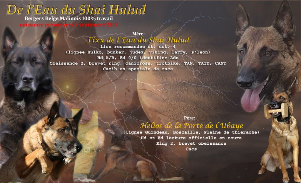 de l'eau du Shaï Hulud - l affiche de la portee a venir !