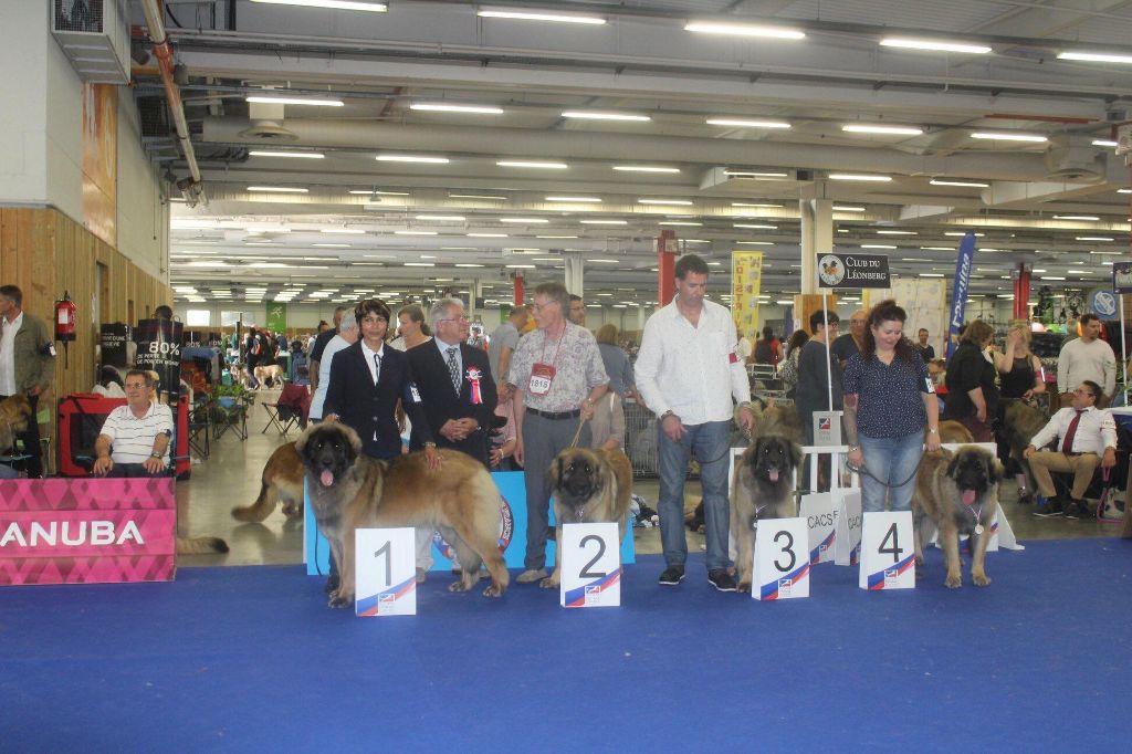 De La Vallee De Cheyenne - CHAMPIONNAT DE FRANCE