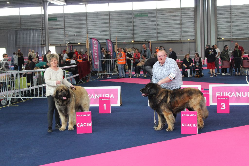 De La Vallee De Cheyenne - EXPOSITION CANINE MULHOUSE