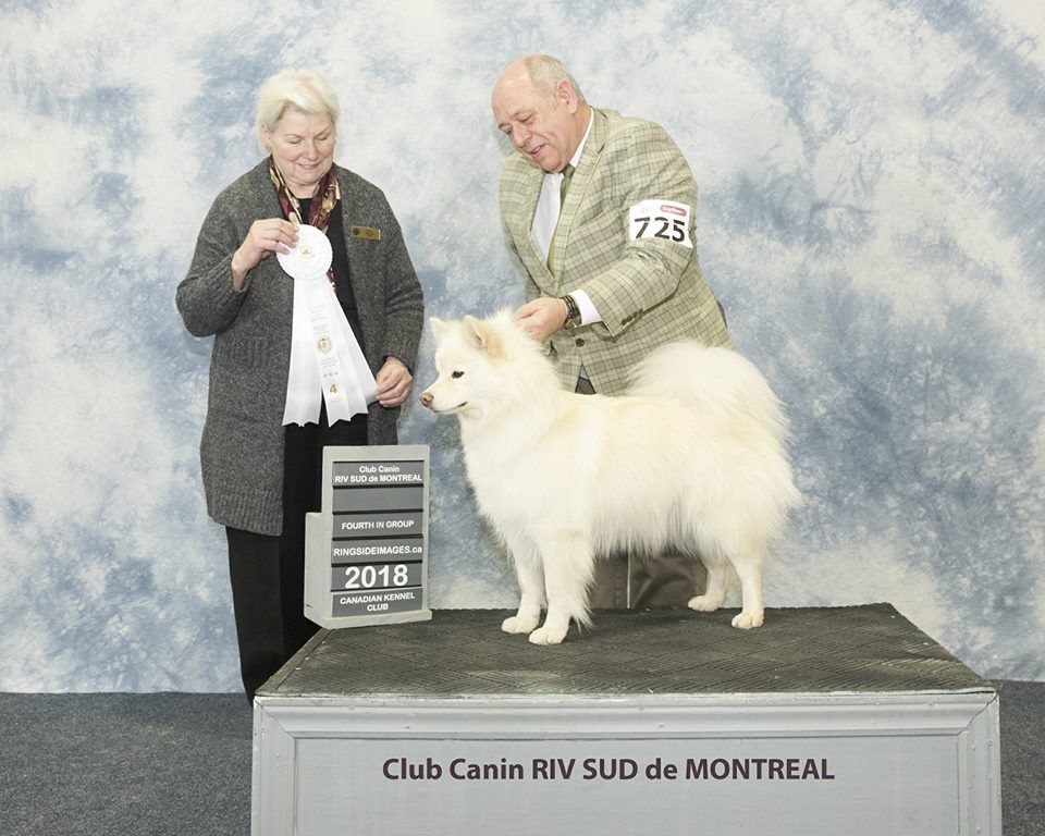 Melhankozia - Melhankozia Ma Baker Championne du Canada