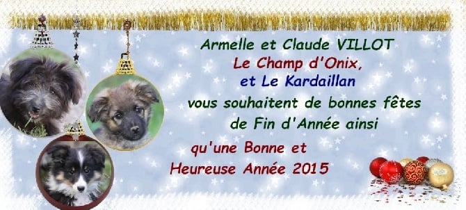 Bonnes Fêtes et Bonne Année 2015