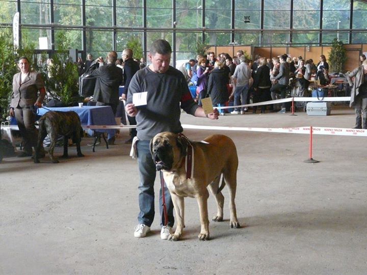 De La Maison De L'étoile - EXPOSITION A CAMBRAI