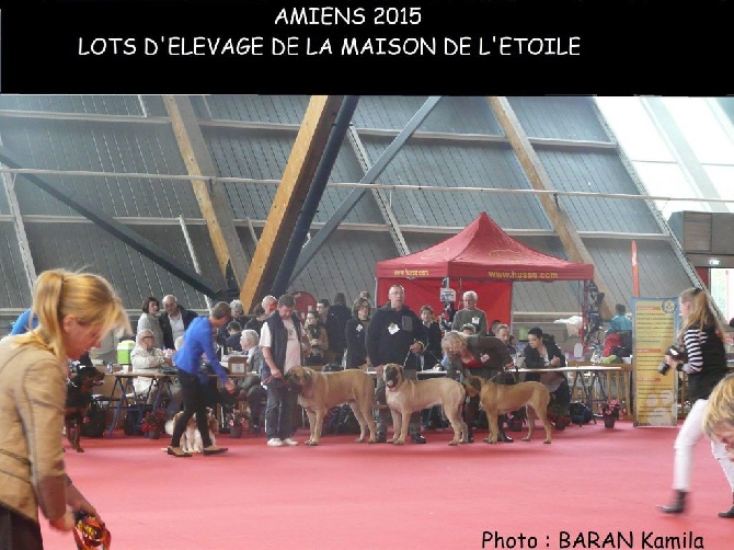 De La Maison De L'étoile - AMIENS