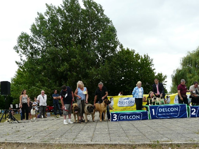 De La Maison De L'étoile - Exposition Nationale à Chalette sur Loing 19/07/2015