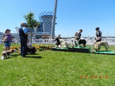 CHALLENGE PAYS DE LA LOIRE