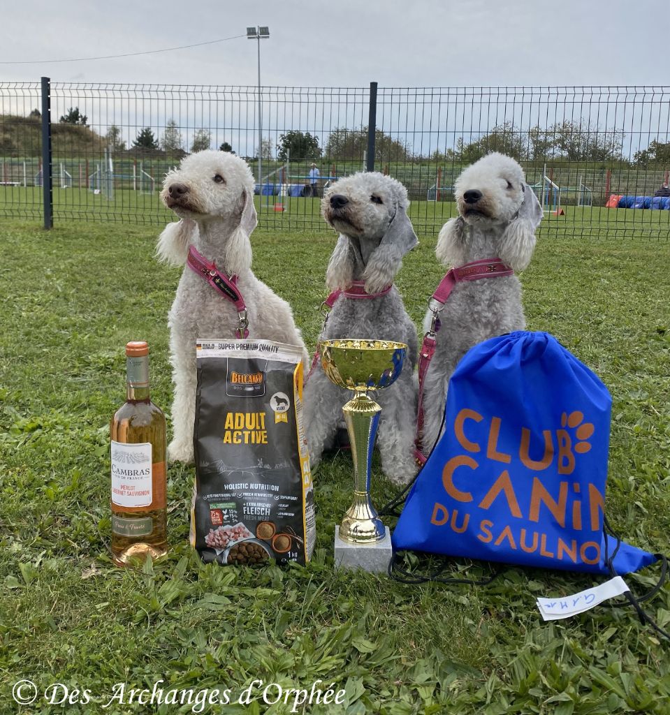 Podiums - Agility à Dieuze (France).